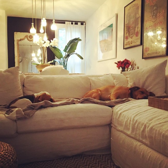 Ruang keluarga diisi dengan sofa panjang bernuansa putih yang cozy. Di sini Meghan Markle dan anjing peliharaannya bersantai. Foto-foto vintage dan interior bernuansa alam menyumbangkan kehangatan. Foto: Instagram/Meghan Markle