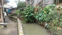 Pagi tadi Gubernur DKI Jakarta Anies Baswedan datang ke Jati Padang, Jakarta Selatan. Selain mengecek perbaikan tanggul Kali Pulo yang jebol, dia juga melihat kondisi permukiman warga. Dia heran karena banyak permukiman warga di bantaran kali.