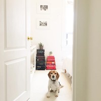 Berlokasi di Toronto, Kanada, rumah ini memiliki tiga kamar tidur dan dua kamar mandi. Menjelang pernikahannya pada Mei 2018, Meghan Markle sudah menjual rumah ini. Harganya, US$ 1,3 juta atau sekitar Rp 18 miliar. Foto: Instagram/Meghan Markle