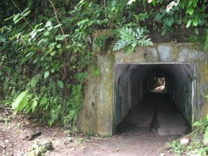 Trekking di Pulau Nusakambangan, Berani?