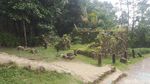 Foto: Pesona Negeri Seychelles dari Ketinggian