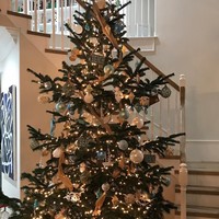 Pohon Natal berikut adalah milik bintang reality show Shannon Beador. Tampak manis dengan aksesori serba biru dan papan bertuliskan Beach. Foto: Instagram