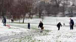 Brrr.. Begini Penampakan Taman Tertutup Salju di Inggris