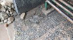 Jorok dan Bau! Jalanan di Matraman Jadi Toilet Umum Sopir Angkot