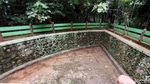 Nasib Hutan Kota Kampung Dukuh yang Tidak Terawat