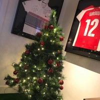 Ini pohon Natal keluarga Beckham. Meski tampak lebih kecil dan sederhana, pohon Natal tersebut cukup memeriahkan suasana. Foto: Instagram