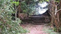 Kita harus treking sedikit membelah hutan lebat. Di ujungnya ada gazebo untuk melihat pemandangan (Fitraya/detikTravel)