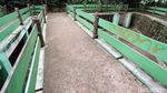 Nasib Hutan Kota Kampung Dukuh yang Tidak Terawat