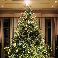 Pohon Natal Kelly Rippa juga cukup ramai meski tak seramai Kylie. Bedanya, Kelly menerapkan sejumlah hiasan rantai. Foto: Instagram