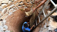 Dia diselamatkan dengan tangga, seseorang turun ke bawah sumur (Foto: Dok. REUTERS/Anuwar Hazarika)
