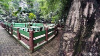 Kondisi Hutan Kota Dukuh di Kampung Dukuh, jalan Raya Pondok Gede, Kramatjati, Jakarta Timur, Kamis (14/12/2017), semakin memperihatinkan.