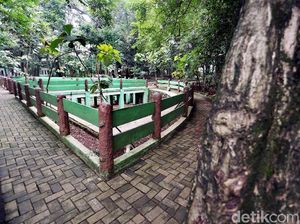 Nasib Hutan Kota Kampung Dukuh yang Tidak Terawat