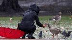 Brrr.. Begini Penampakan Taman Tertutup Salju di Inggris
