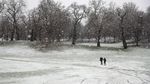 Brrr.. Begini Penampakan Taman Tertutup Salju di Inggris