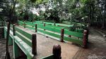 Nasib Hutan Kota Kampung Dukuh yang Tidak Terawat