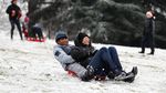 Brrr.. Begini Penampakan Taman Tertutup Salju di Inggris