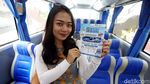 Perum PPD Luncurkan TransJabodetabek Premium