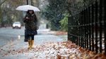 Brrr.. Begini Penampakan Taman Tertutup Salju di Inggris