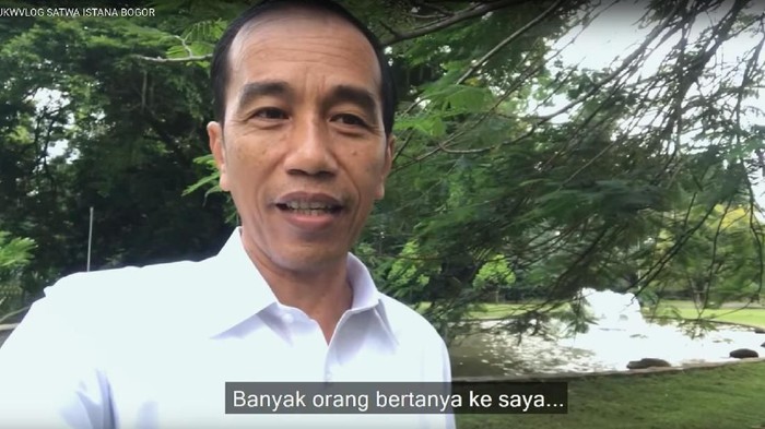 Libur Santai Ala Jokowi, Nge-vlog Sambil Beri Makan Rusa