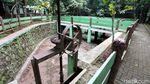 Nasib Hutan Kota Kampung Dukuh yang Tidak Terawat