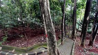 Hutan seluas 5.738 m2 itu kini tidak terawat.