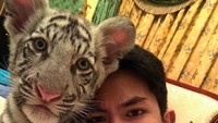 Selain liburan, Mateen juga sering memerkan kegiatan sehari-harinya. Terlihat kalau Mateen memelihara seekor kucing dan harimau. Bahkan salah satu foto di Instagram, Mateen berfoto dengan anak-anak harimau dengan caption Father of Tiger. (@tmski/Instagram)