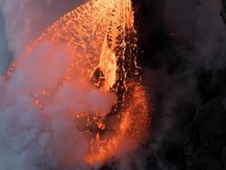 Deretan Foto Keren Jawara NatGeo Nature 2017