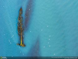 Deretan Foto Keren Jawara NatGeo Nature 2017