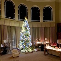 Seperti ini dekorasi pohon Natal di rumah Britney Spears. Terlihat menarik dengan penambahan patung rusa. Foto: Instagram