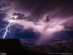 Deretan Foto Keren Jawara NatGeo Nature 2017
