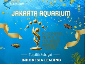 Belum Genap Setahun, Jakarta Aquarium Sabet Penghargaan Bergengsi