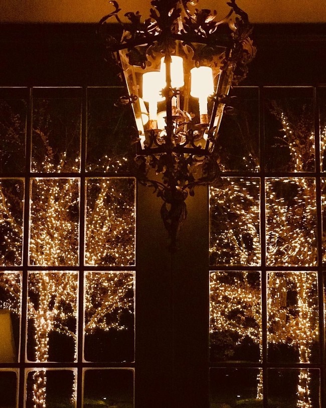 Penyanyi country Tim McGraw tidak membeli pohon cemara untuk pohon Natal. Ia memilih untuk menghias pohon di halaman rumahnya dengan lampu-lampu untuk menghadirkan suasana suka cita.  Foto: Instagram