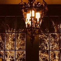 Penyanyi country Tim McGraw tidak membeli pohon cemara untuk pohon Natal. Ia memilih untuk menghias pohon di halaman rumahnya dengan lampu-lampu untuk menghadirkan suasana suka cita.  Foto: Instagram