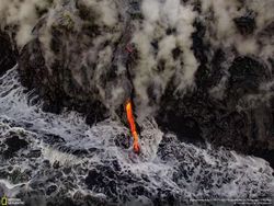 Deretan Foto Keren Jawara NatGeo Nature 2017