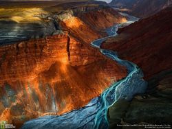 Deretan Foto Keren Jawara NatGeo Nature 2017