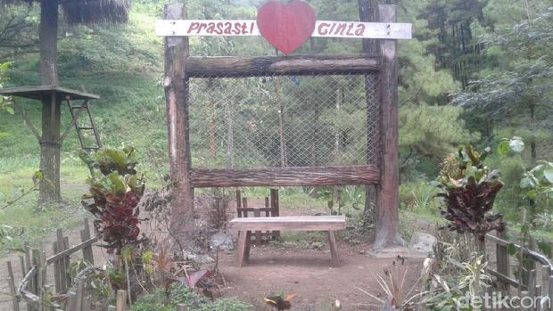 Spot Foto Beruk atau Mountain Beruk/