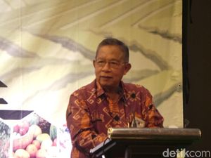 Pemerintah Permudah Izin Tinggal Tenaga Kerja Asing Bidang IT