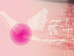 Gempa Banten, 45 Rumah Dilaporkan Rusak