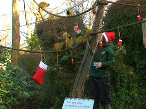 Penghuni Kebun Binatang London Ikut Rayakan Natal