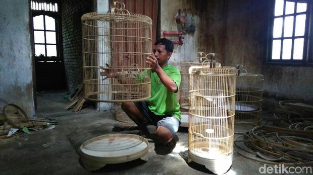Melihat Kampung Sangkar Burung di Purworejo
