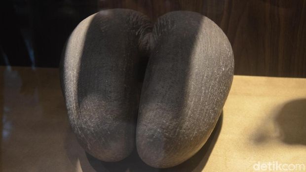 Kisah Kelapa Penawar Racun Peninggalan Raja Pertama Cirebon