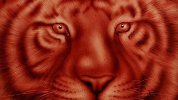 Berikut deretan hasil lukisan Mayers, bagi yang pertama kali melihat mungkin tidak akan menyadari jika ini merupakan dari darah. (Foto: Rev Mayers)