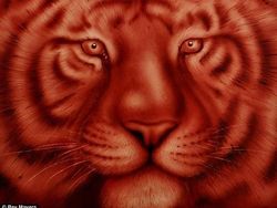 Gila Tapi Keren, Seniman Gunakan Darahnya Untuk Melukis