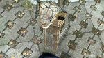 Kisah Tragis Tewas Dipatuk King Cobra: Irma Bule, Aril sampai Pawang