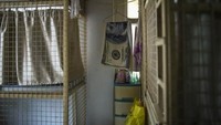 Bahkan ada juga yang tinggal di tempat yang mirip kandang. Tempat itu hanya dibatasi jaring besi sebagai tempat untuk tidur. (Reuters)