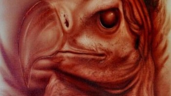 Mayers sudah menggeluti dunia seni sejak 12 tahun lalu, ia menggunakan banyak darahnya atas nama seni. (Foto: Rev Mayers)