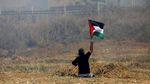 Foto: Ini Abu Thurayeh, Pria Berkursi Roda yang Tewas Ditembak Israel