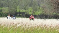 Gunung Argopuro yang juga masuk wilayah Kabupaten Probolinggo jadi salah satu sasaran pendaki di akhir tahun. Setidaknya, setiap bulan, ada sekitar 300 orang yang mendakinya (Akbar Priyono/dTraveler)