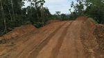 Indahnya! Ini Penampakan Terbaru Jalan Trans Papua