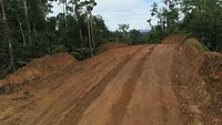 Selama ini, wilayah pelosok papua seperti Wamena hanya bisa diakses menggunakan pesawat. Akibatnya, harga barang-barang melambung tinggi lantaran biaya angkutnya yang mahal.